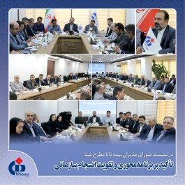 تأكید بر برنامه‌محوری و تقویت انسجام سازمانی