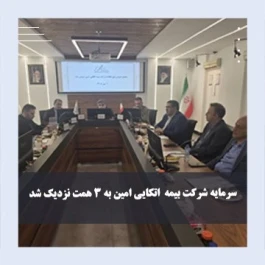 سرمایه شرکت بیمه اتکایی امین به 3 همت نزدیک شد